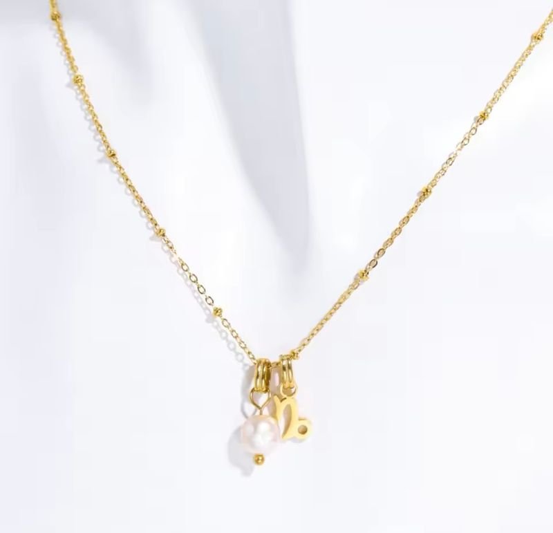 St Lucia Boutique Capricorn necklace - 18k gold plated - Shop women's Accessories at St Lucia Boutique