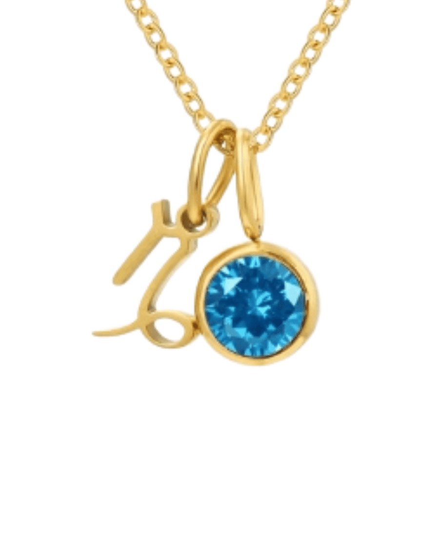 St Lucia Boutique Capricorn Stone Necklace - Aqua/18k Gold Plated - Shop women's Accessories at St Lucia Boutique