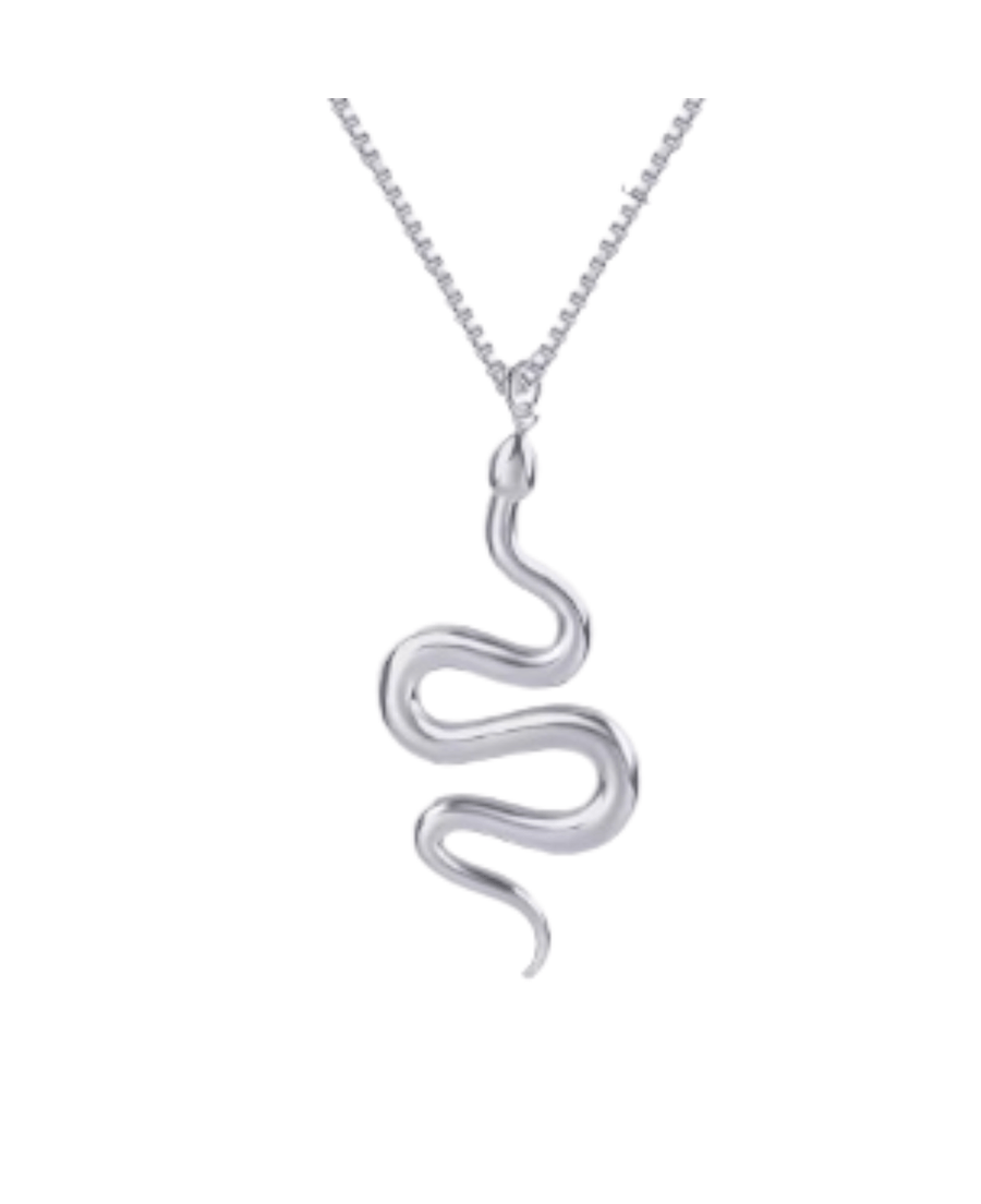 St Lucia Boutique Serpent Necklace - Silver - Shop women's Accessories at St Lucia Boutique