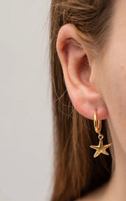 St Lucia Boutique Starfish huggie earring - Shop women's Accessories at St Lucia Boutique